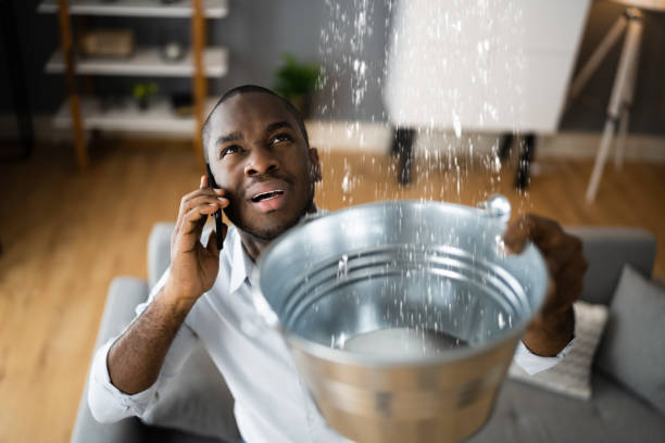Best Water damage cleanup near me  in Westfield, WI