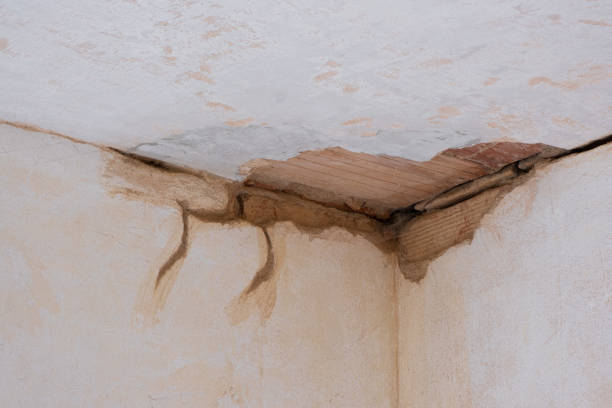Best Residential water damage restoration  in Westfield, WI