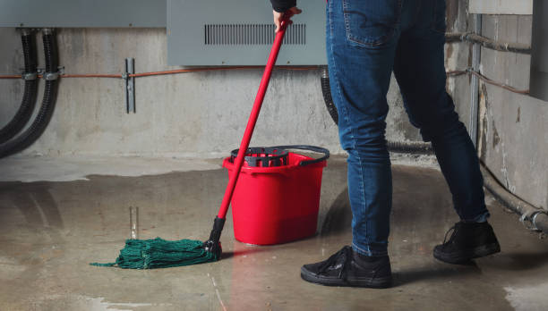 Best 24-hour water damage restoration  in Westfield, WI