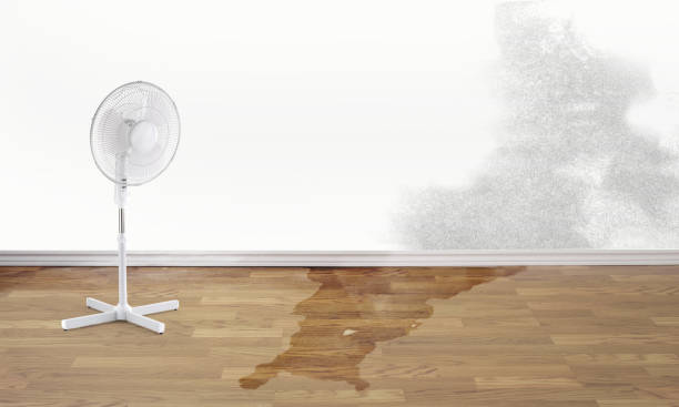 Best Commercial water damage restoration  in Westfield, WI