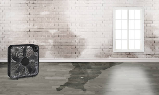 Best Water damage restoration near me  in Westfield, WI