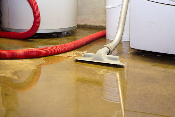  Westfield, WI Water damage restoration Pros