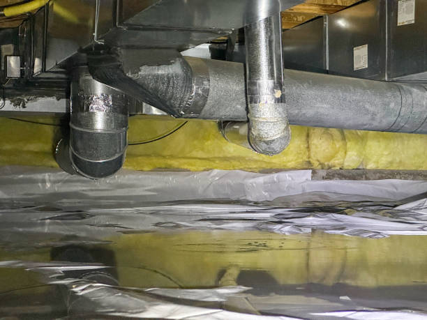 Best Water damage restoration process  in Westfield, WI