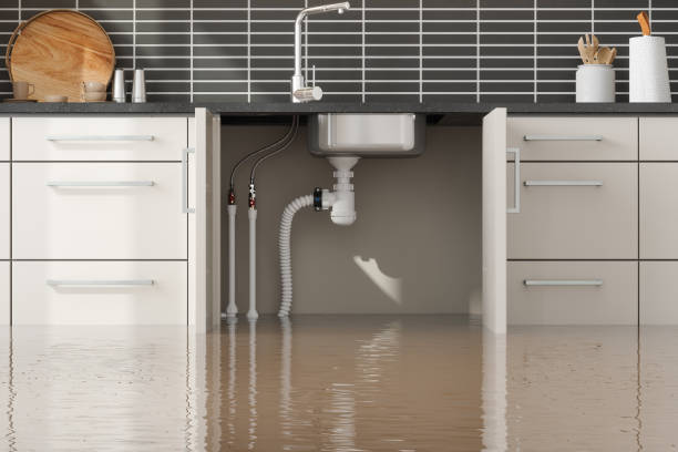 Best Carpet water damage restoration  in Westfield, WI