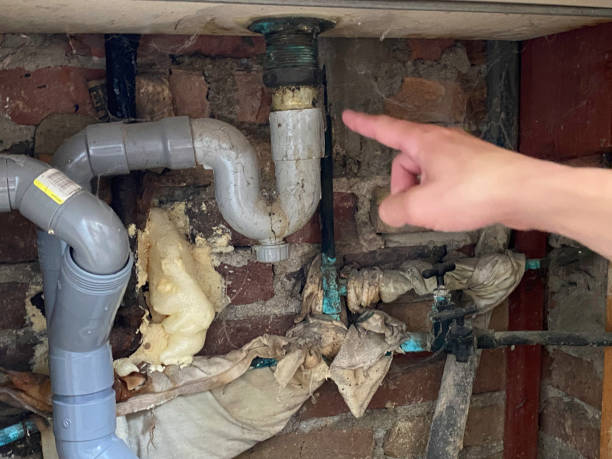 Best Water damage restoration experts  in Westfield, WI