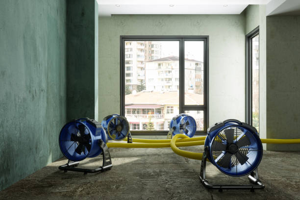 Best Emergency water damage restoration  in Westfield, WI