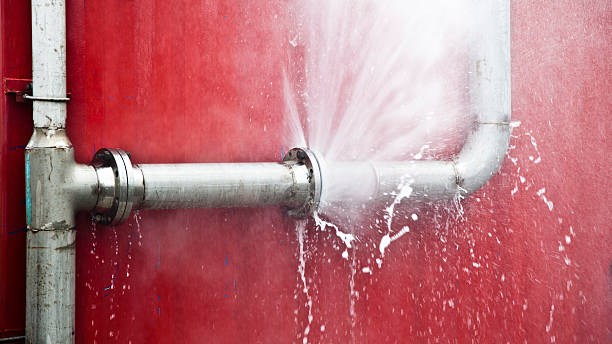 Best Water damage contractors near me  in Westfield, WI